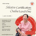 Shiatsu Level I, online class: Primary Meridians